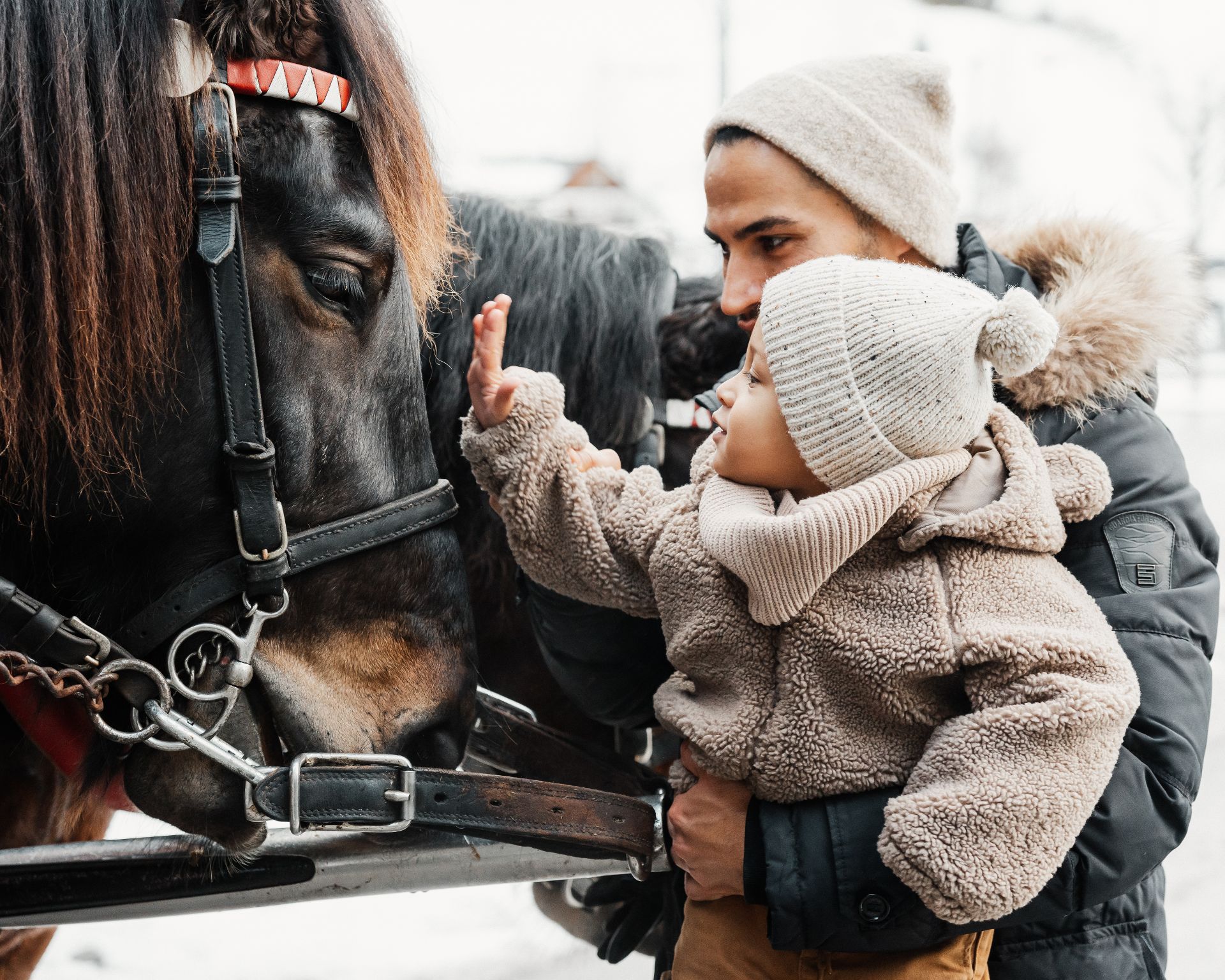Besinnliche Weihnacht-0
