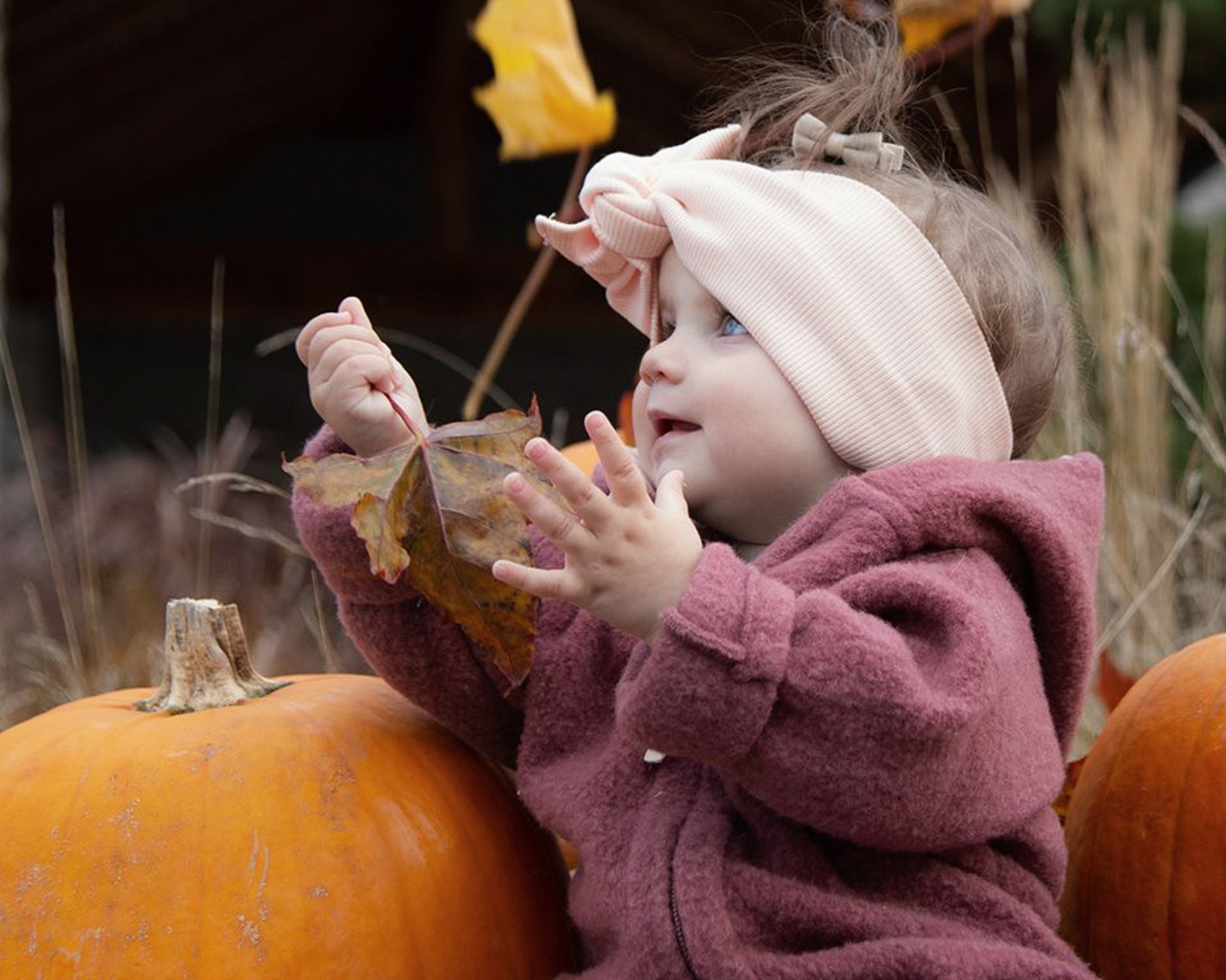 Halloween - Süßes oder Saures-0
