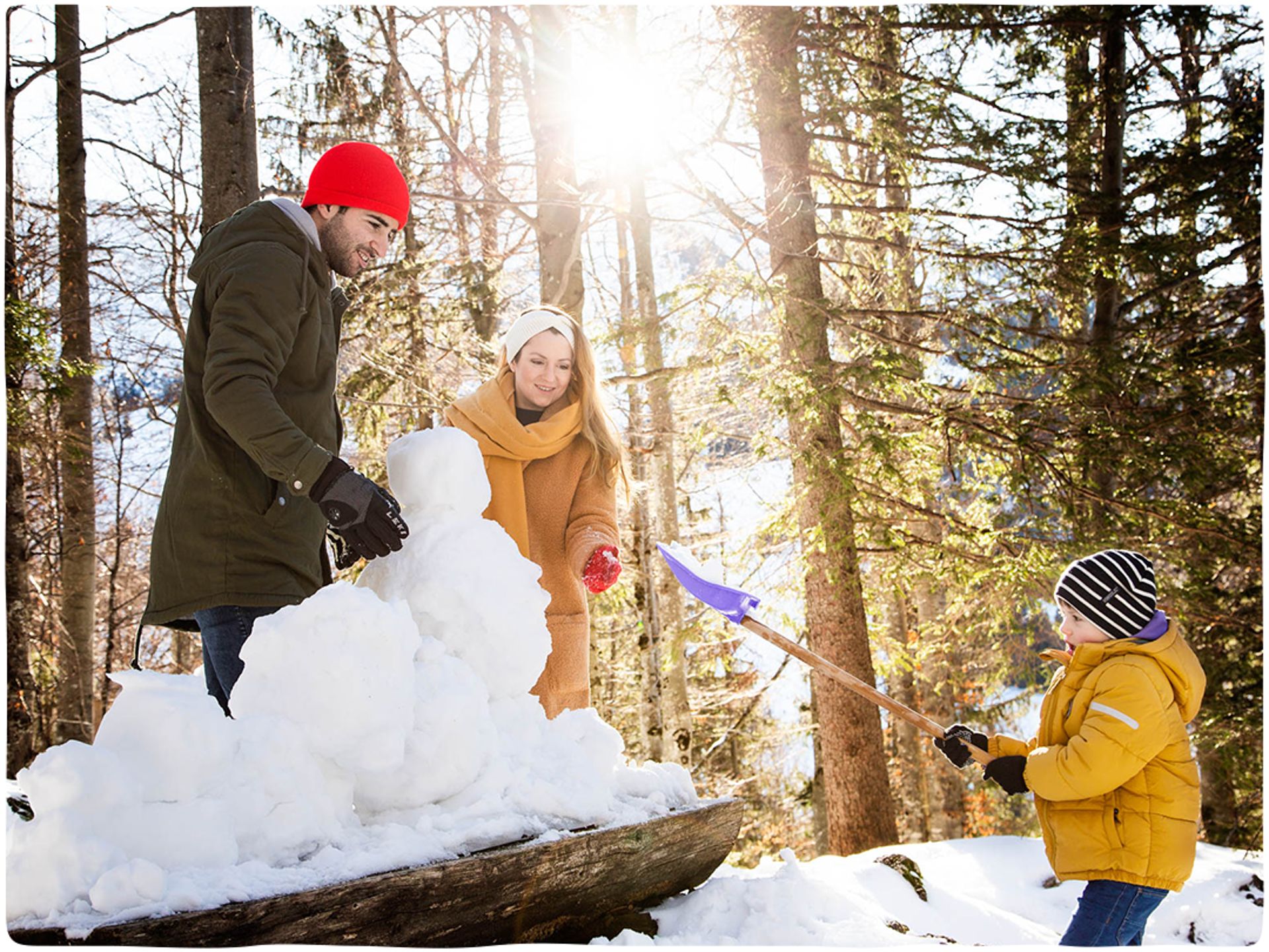 Winter Magic in the alps - With a ski pass for free-0