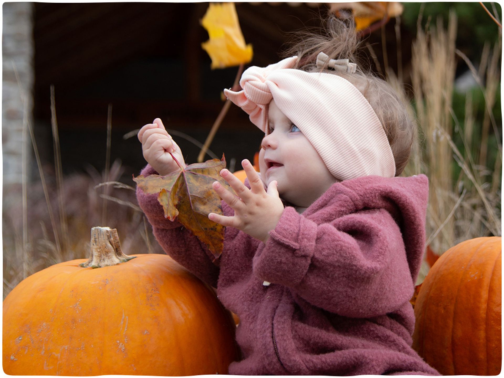 Halloween - Trick or Treat-0