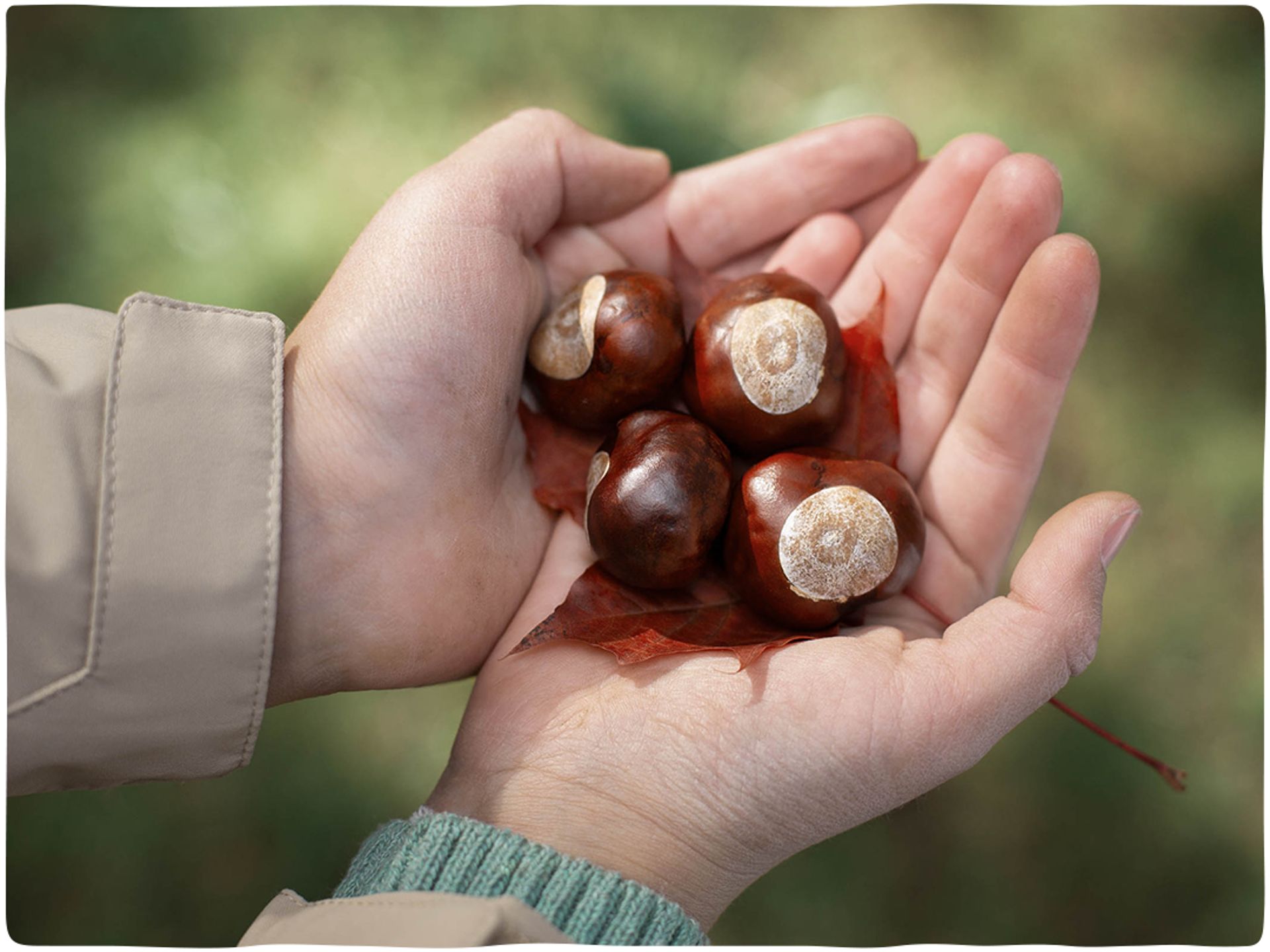 Autumn idyll - Family, Nature & Wellness-0